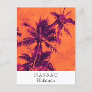 *~* Tropical . Travel AP25 Personalise  Palm Leaf Postcard