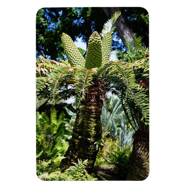 Tropical Tree Photo Magnet (Vertical)