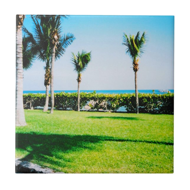 Tropical Trees Tile (Front)