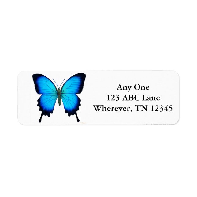 Tropical Ulysses Butterfly Label Return Address Label (Front)