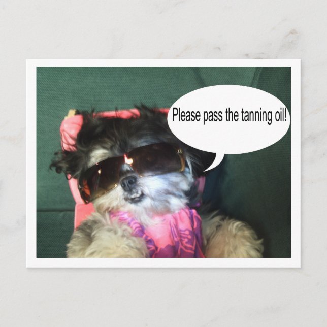 Tropical Vacation Postcard (Front)