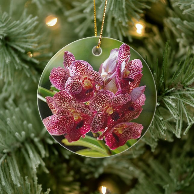 Tropical Vanda Orchid Cluster Ceramic Tree Decoration (Tree)