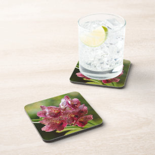 Tropical Vanda Orchid Cluster Coaster