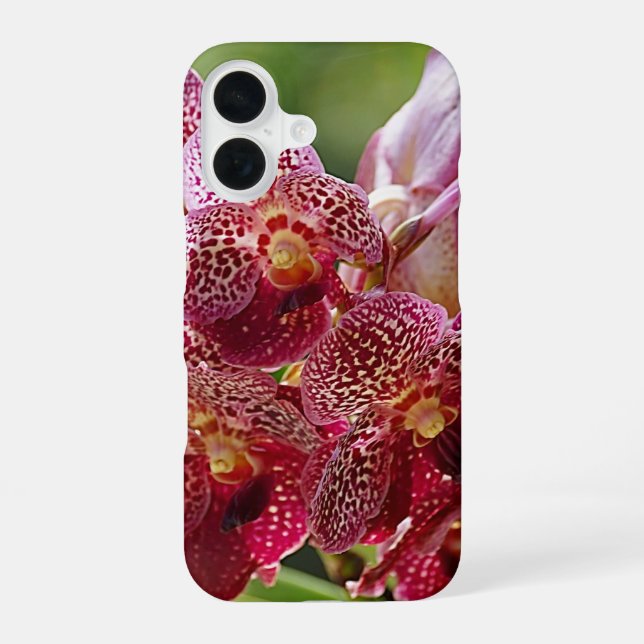 Tropical Vanda Orchid Cluster iPhone 16 Case (Back)