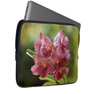 Tropical Vanda Orchid Cluster Laptop Sleeve