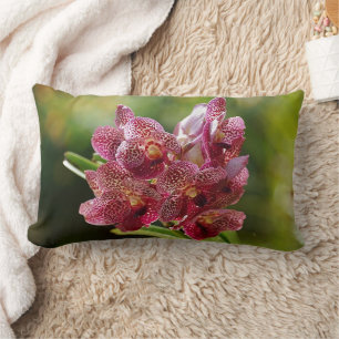 Tropical Vanda Orchid Cluster Lumbar Cushion