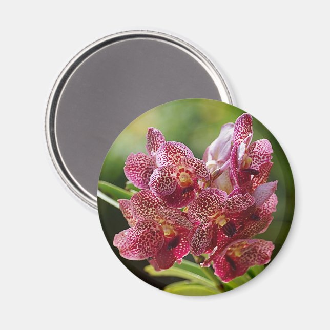 Tropical Vanda Orchid Cluster Magnet (Front/Back)