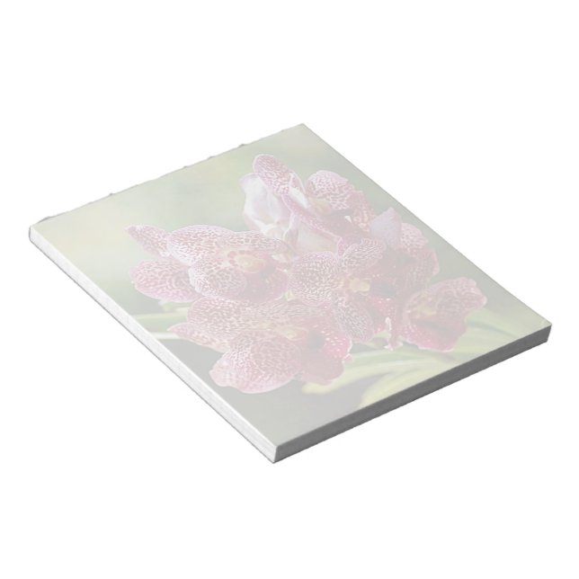 Tropical Vanda Orchid Cluster Notepad (Angled)