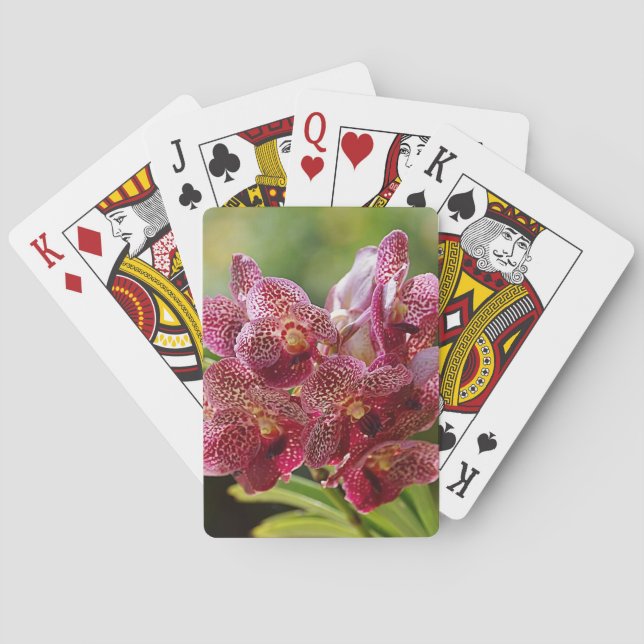 Tropical Vanda Orchid Cluster Playing Cards (Back)
