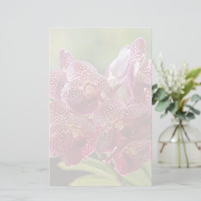 Tropical Vanda Orchid Cluster Stationery (Standing Front)