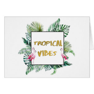 Tropical vibes