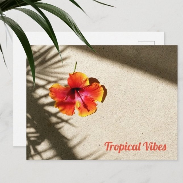 Tropical Vibes Hibiscus Postcard (Creator Uploaded)