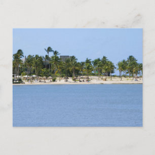 Tropical view postcard