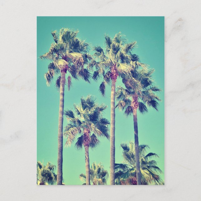 Tropical Vintage Palm Trees Postcard (Front)