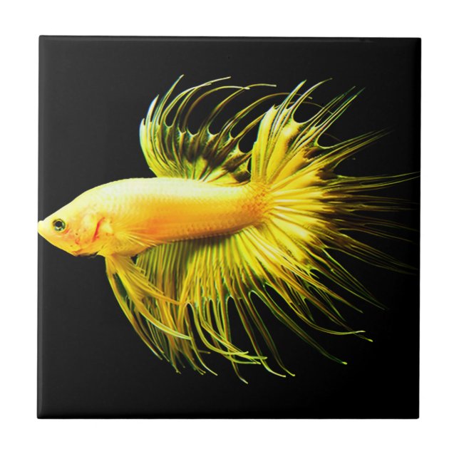 tropical wall vintage tiles (Front)