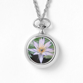 Tropical Water Lily Watch
