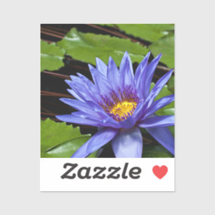 Tropical Waterlily Floral Botanical Design
