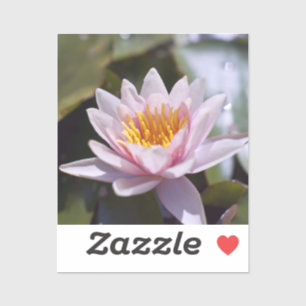 Tropical Waterlily Floral Botanical Design