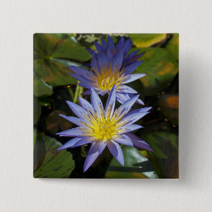 Tropical Waterlily Floral Botanical Design 15 Cm Square Badge