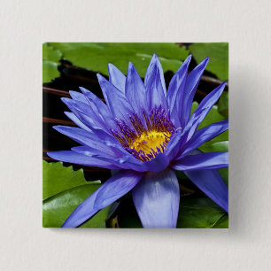 Tropical Waterlily Floral Botanical Design 15 Cm Square Badge