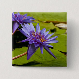 Tropical Waterlily Floral Botanical Design 15 Cm Square Badge