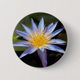 Tropical Waterlily Floral Botanical Design 6 Cm Round Badge