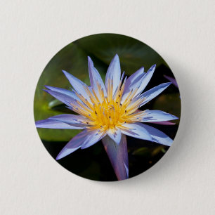 Tropical Waterlily Floral Botanical Design 6 Cm Round Badge
