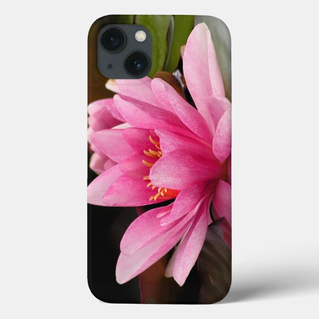 Tropical Waterlily Floral Botanical Design Case-Mate iPhone Case (Back)