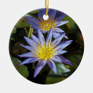 Tropical Waterlily Floral Botanical Design Ceramic Ornament