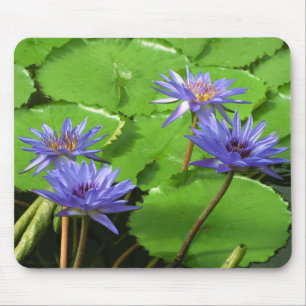 Tropical Waterlily Floral Botanical Design Mouse Pad