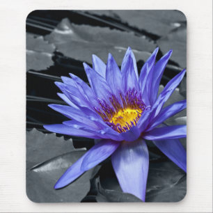 Tropical Waterlily Floral Botanical Design Mouse Pad