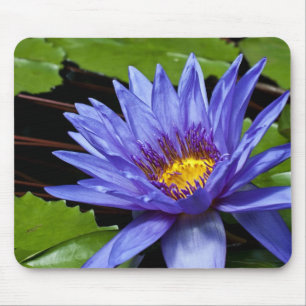 Tropical Waterlily Floral Botanical Design Mouse Pad