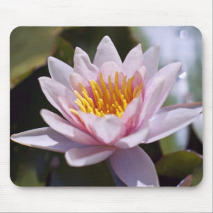 Tropical Waterlily Floral Botanical Design Mouse Pad