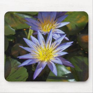 Tropical Waterlily Floral Botanical Design Mouse Pad