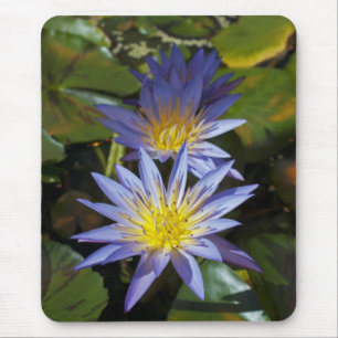 Tropical Waterlily Floral Botanical Design Mouse Pad