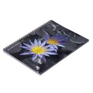 Tropical Waterlily Floral Botanical Design Notebook