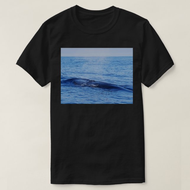 Tropical whale The Brydes whale T-Shirt (Design Front)
