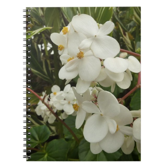 Tropical White Begonia Floral Notebook (Front)