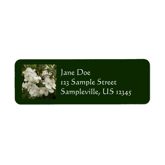 Tropical White Begonia Floral Return Address Label (Front)