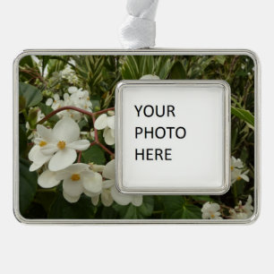 Tropical White Begonia Floral Silver Plated Framed Ornament