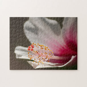 Tropical White & Pink Hibiscus Flower Photography Jigsaw Puzzle