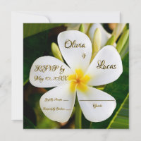 Tropical White Plumeria - New Beginnings - RSVP