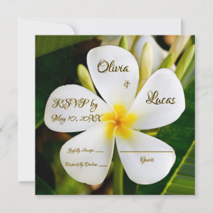 Tropical White Plumeria - New Beginnings - RSVP Invitation
