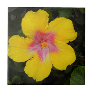 Tropical Yellow Hibiscus Floral Tile Hawaii