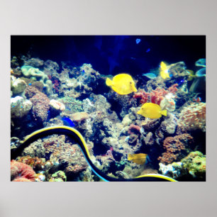 tropical yellow neon fish poster