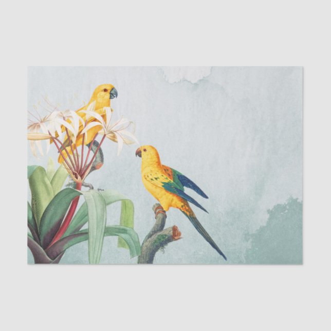 Tropical Yellow Parrots Floral Tissue Paper (Front)