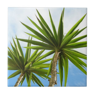 Tropical Yucca Palm Leaves Painting Effect Photo Ceramic Tile