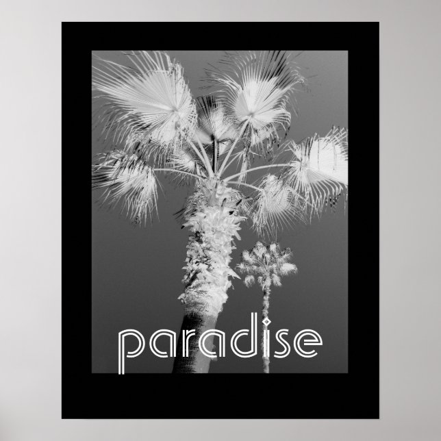 tropics poster black and white photograph (Front)