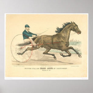 Trotting stallion Palo Alto by Electioneer (1791A) Poster