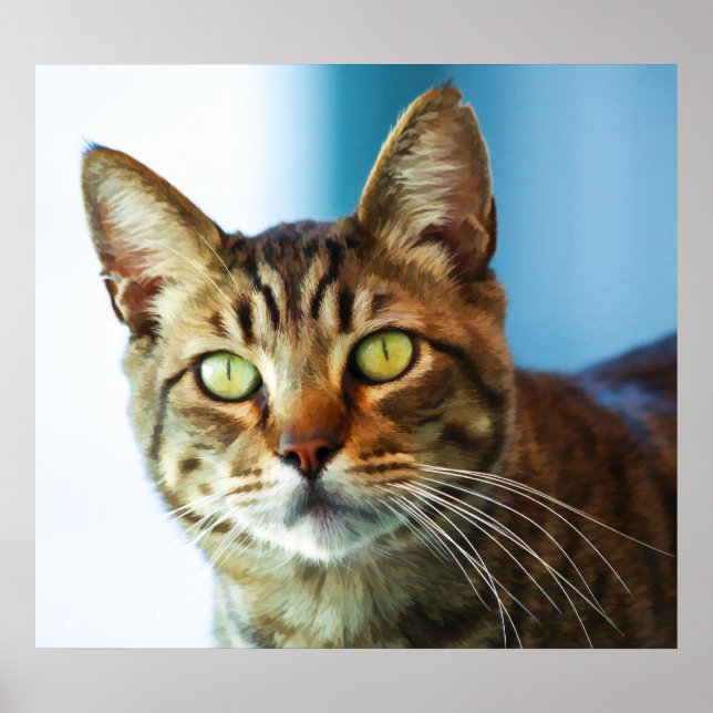 Trouble Poster (Front)